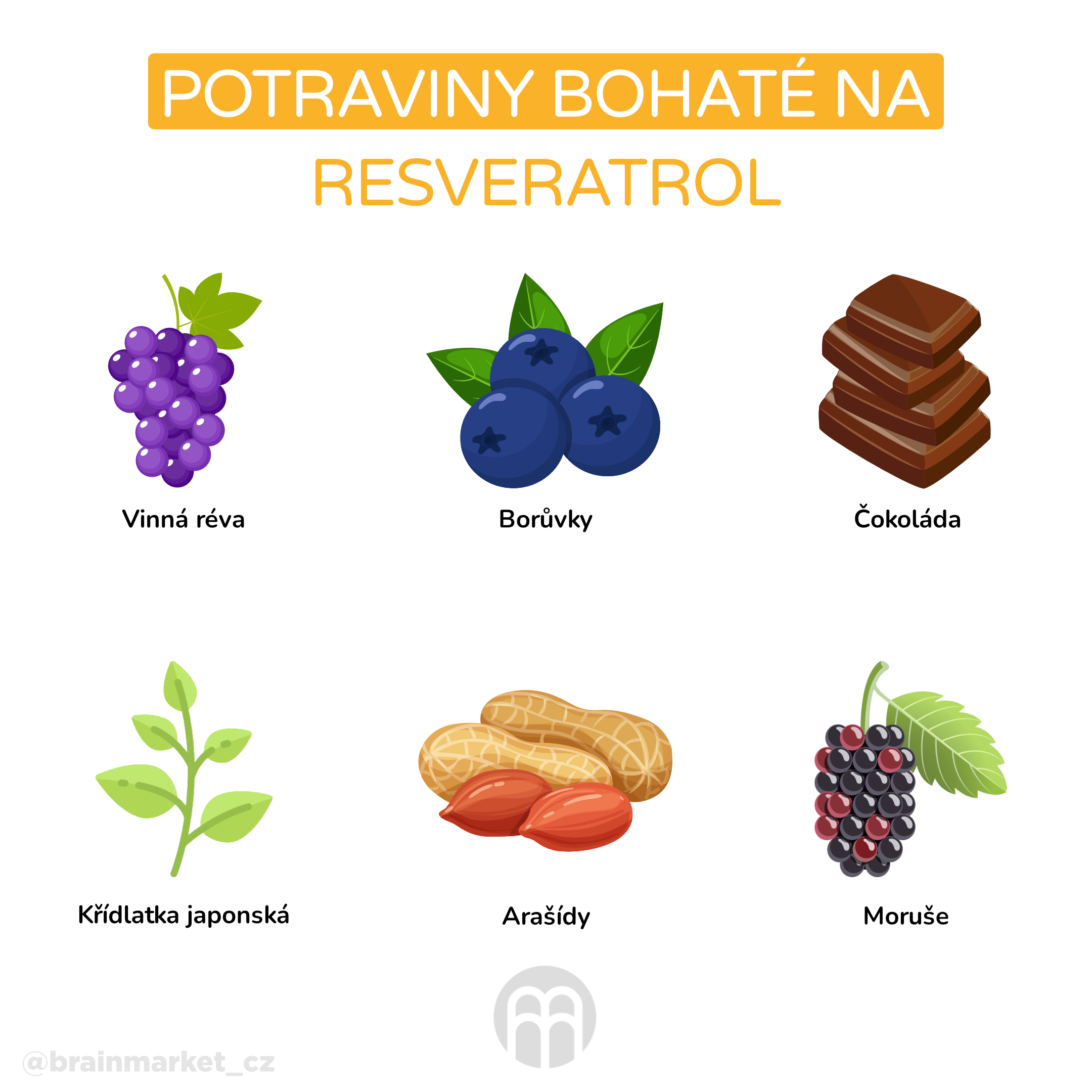 Potraviny bohaté na resveratrol_infografika_cz